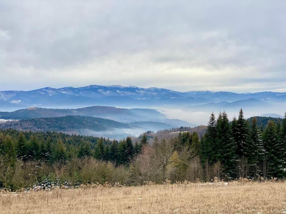 Willa Blizej Nieba Koskowa Gora Bogdanowka Zewnętrze zdjęcie